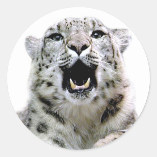 Snow Leopard Ronde Sticker (Voorkant)