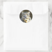 Snow Leopard Ronde Sticker (Tas)