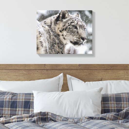 Snow Leopard Snow Portrait Canvas Afdruk (Insitu (Slaapkamer))