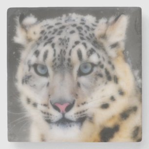 Snow Leopard Stenen Onderzetter