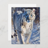 Snow Leopard Studie A - Oliën Feestdagenkaart (Voorkant / Achterkant)