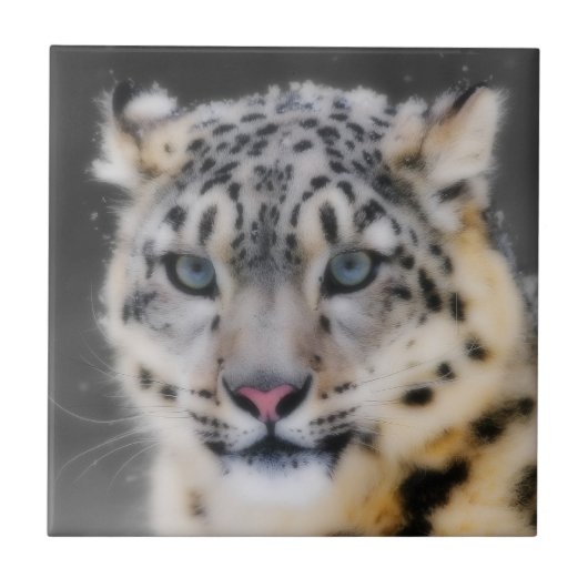 Snow Leopard Tegeltje (Voorkant)