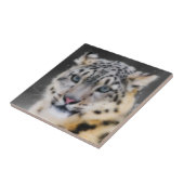 Snow Leopard Tegeltje (Zijkant)