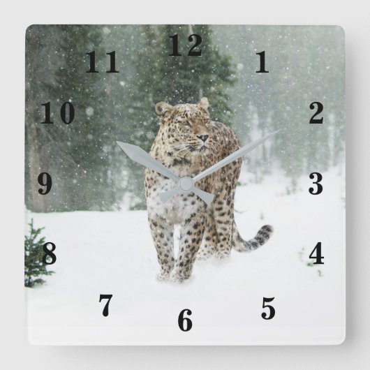 Snow Leopard Vierkante Klok (Voorkant)