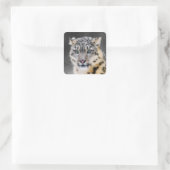 Snow Leopard Vierkante Sticker (Tas)