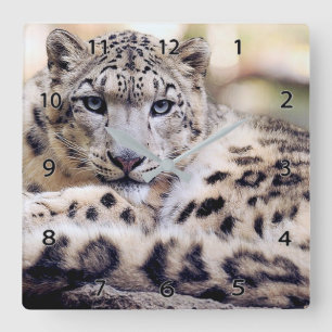 Snow Leopard Wildlife Wall Clock Vierkante Klok