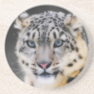 Snow Leopard Zandsteen Onderzetter