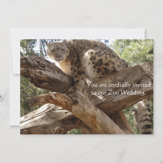 Snow Leopard Zoo Wedding Invitations Kaart (Voorkant)