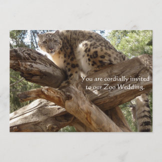 Snow Leopard Zoo Wedding Invitations Kaart