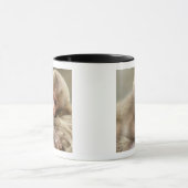 Snow Monkey Baby, Jigokudani, Nagano, Japan 2 Mok (Midden)