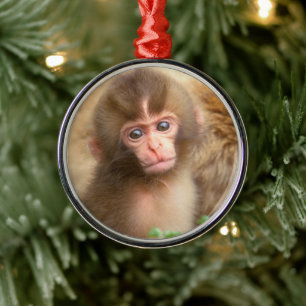 Snow Monkey Baby Portret Metalen Ornament