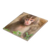 Snow Monkey Baby Portret Tegeltje (Zijkant)