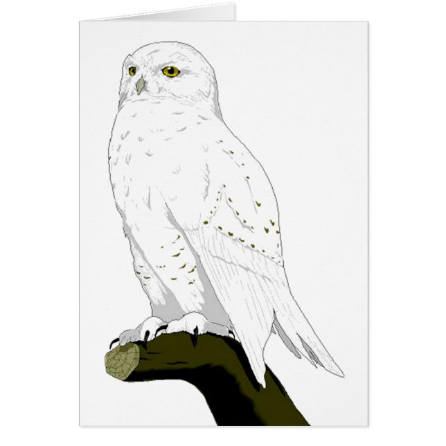 Snow Owl (Voorkant)