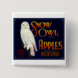 Snow Owl Apples Vierkante Button 5,1 Cm