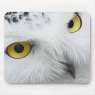 Snow Owl Eyes Muismat