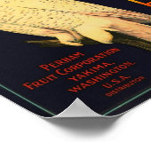 Snow Owl Merk Appels Yakima Washington Poster (Hoek)