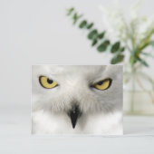 Snow Owl Post Card Briefkaart (Staand voorkant)