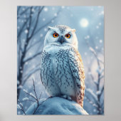 Snow Owl-Poster Poster (Voorkant)