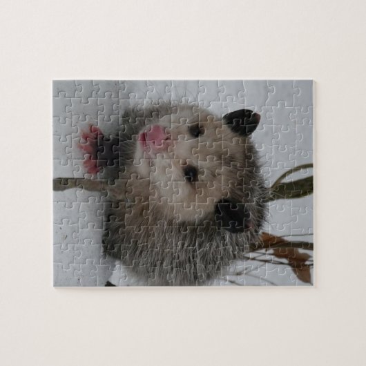 Snow Possum Legpuzzel (Horizontaal)