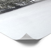 Snow - poster (Coin)