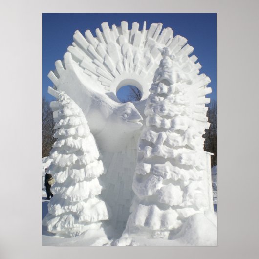 Snow Raven Poster (Voorkant)