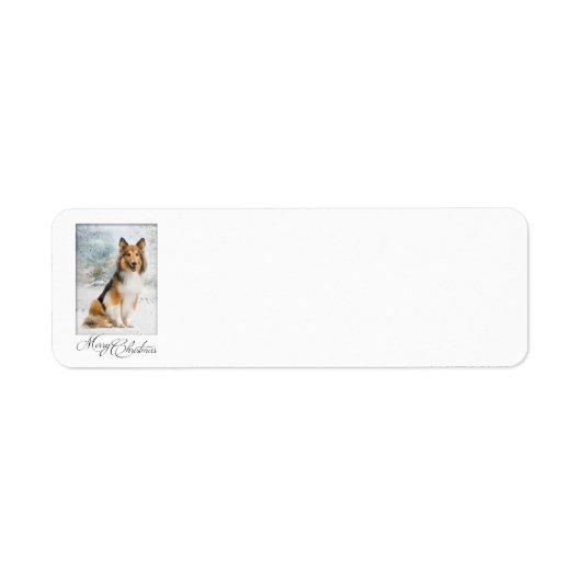 Snow Sheltie Kerst retour adres labels (Voorkant)