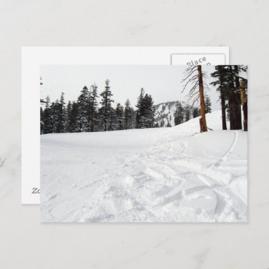 Snow Trails Carte postale Ski & Snowboard (Devant / Derrière)