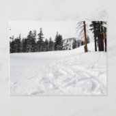 Snow Trails Carte postale Ski & Snowboard (Devant)