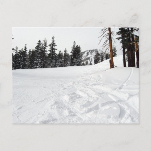 Snow Trails Carte postale Ski & Snowboard (Devant)