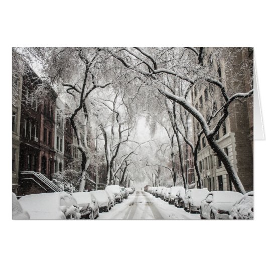 Snow Urban Christmas à Brooklyn (Devant horizontal)