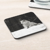 Snow Wolf Onderzetter (Linkerzijde)