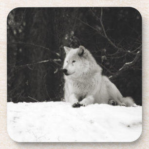 Snow Wolf Onderzetter