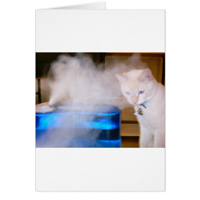 "Snowball dans la brume " (Devant)