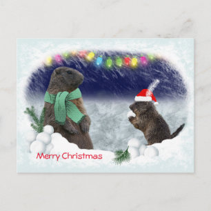 Snowball Fight Briefkaart