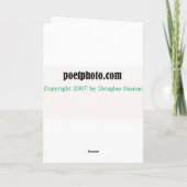 Snowball-gevecht Feestdagen Kaart (Achterkant)