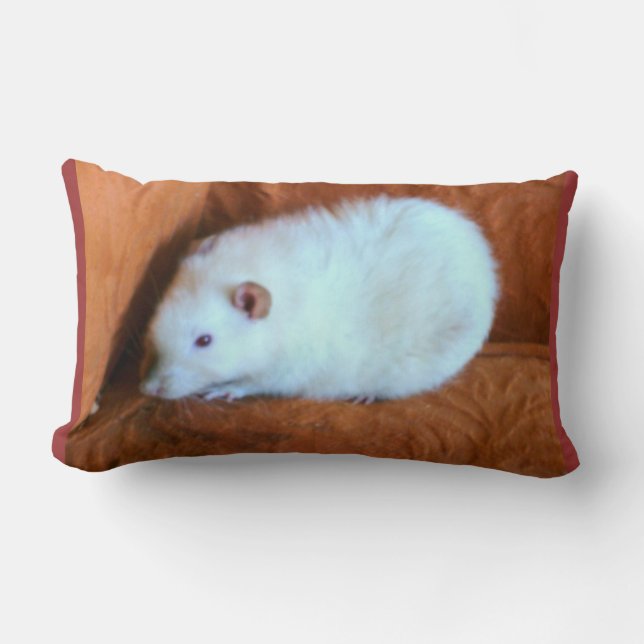 Snowball White Rat Coussin (Recto)