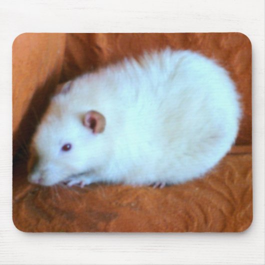 Snowball White Rat Mousepad Muismat (Voorkant)