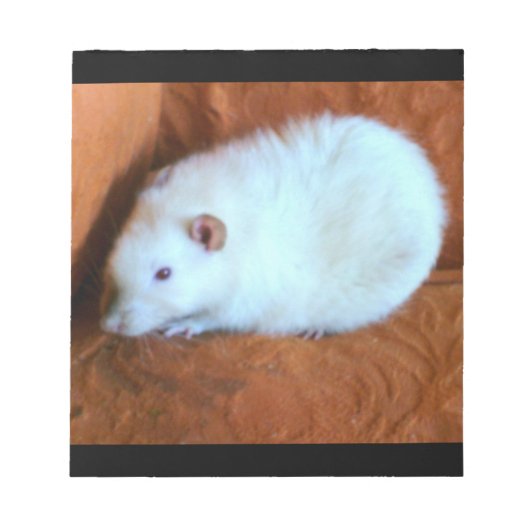 Snowball White Rat Notepad Notitieblok (Voorkant)
