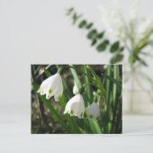 Snowbells Briefkaart (Staand voorkant)
