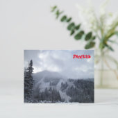 Snowbird Briefkaart (Staand voorkant)