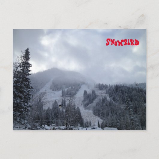 Snowbird Briefkaart (Voorkant)