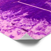 Snowbird Dream Poster (Hoek)