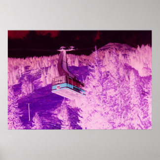 Snowbird Dream Poster