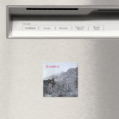 Snowbird Magneet (Insitu (Vaatwasser))