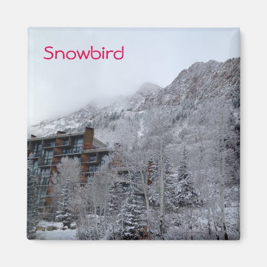 Snowbird Magneet (Voorkant)