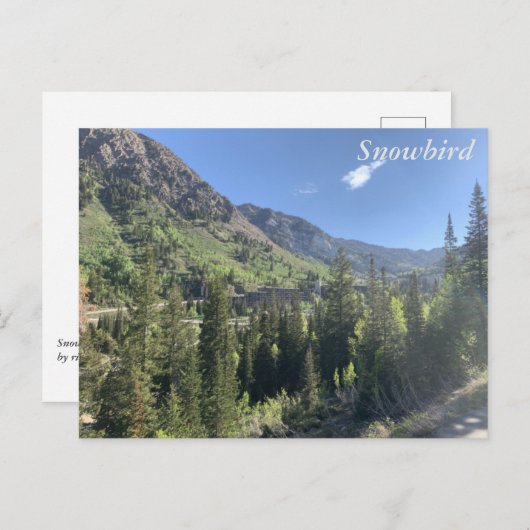 Snowbird - zomer briefkaart (Voorkant / Achterkant)