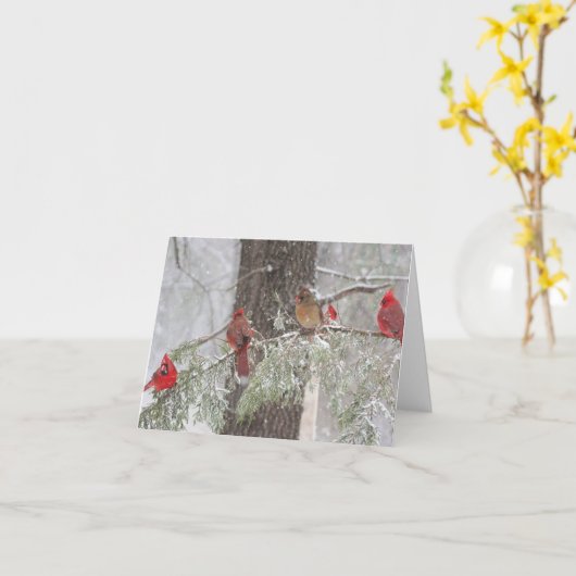 SnowBirds Kaart (Gele Bloem)