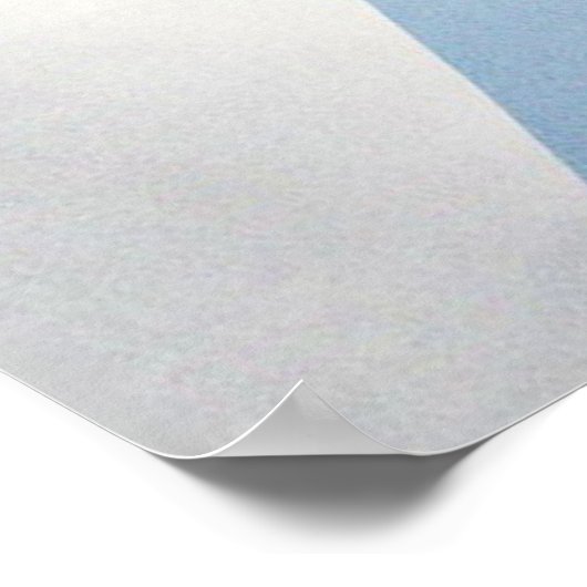 Snowboard Winter Sport_ Poster (Coin)