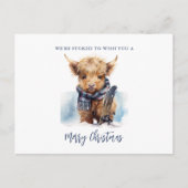 Snowboarden Highland Koe Briefkaart (Voorkant)