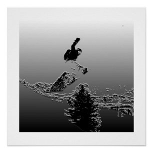 Snowboarden Perfect Poster
